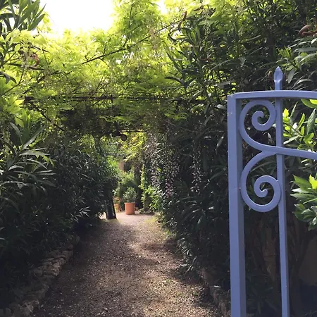 Un Jardin Pres De La Apartamento
