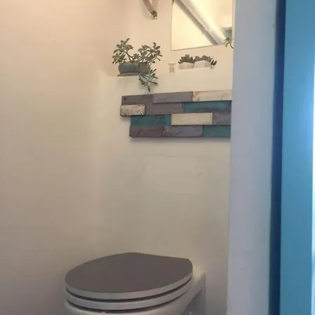 Un Jardin Pres De La Apartamento