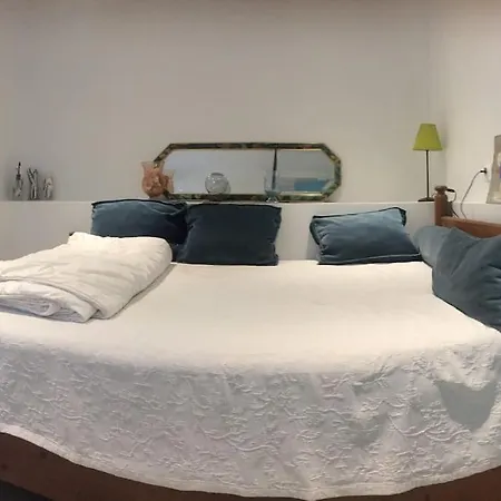 Un Jardin Pres De La Apartamento *