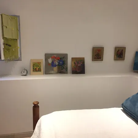 Un Jardin Pres De La Apartamento *